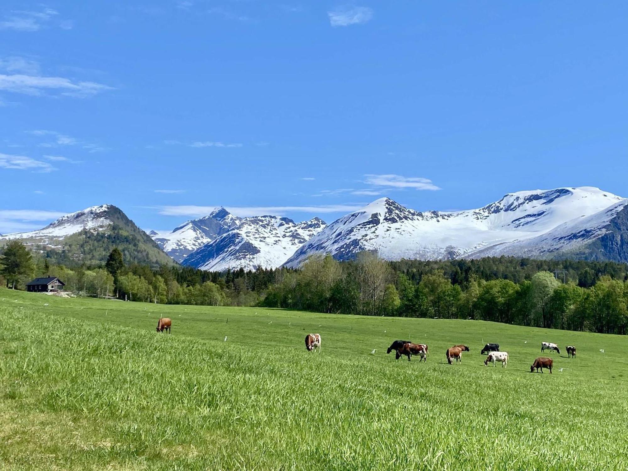 Heinåli Hytta Villa Isfjorden Exteriör bild