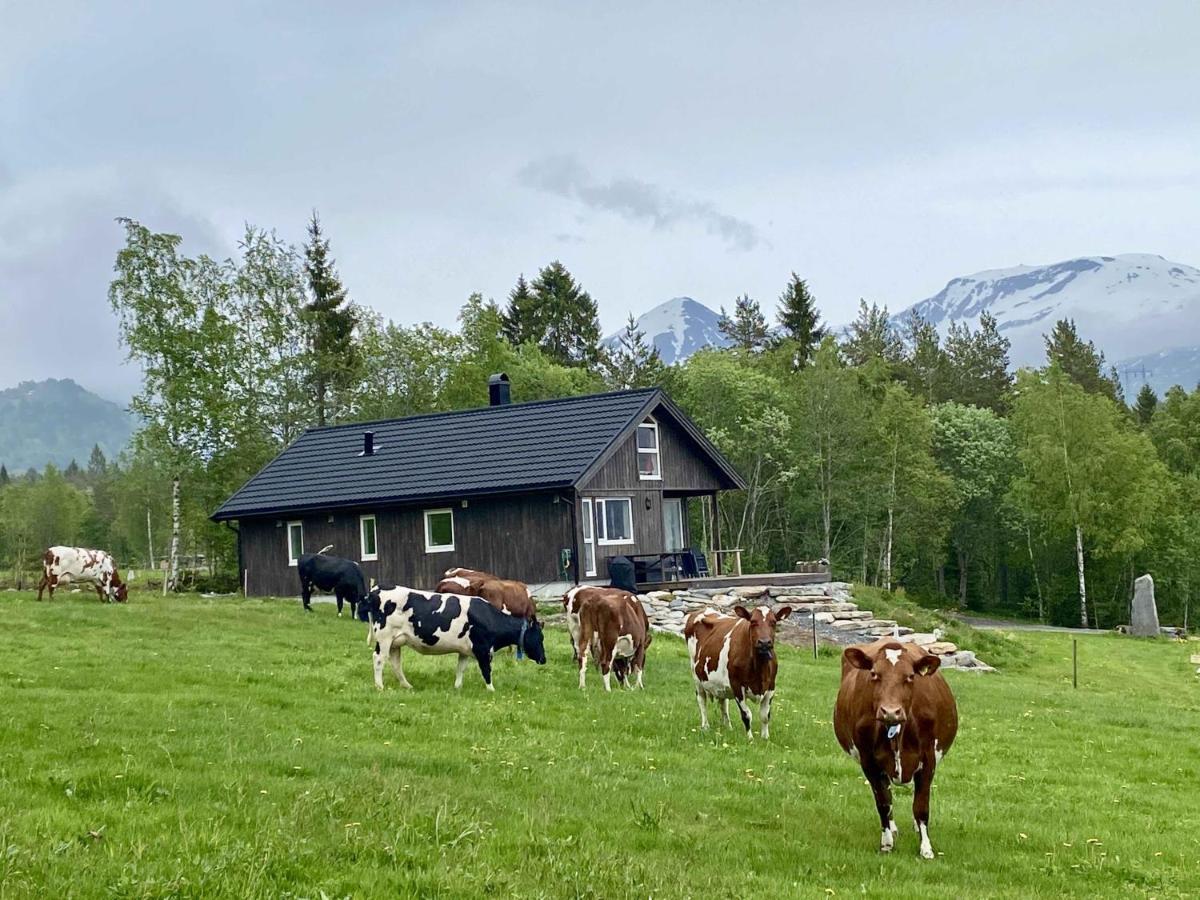 Heinåli Hytta Villa Isfjorden Exteriör bild